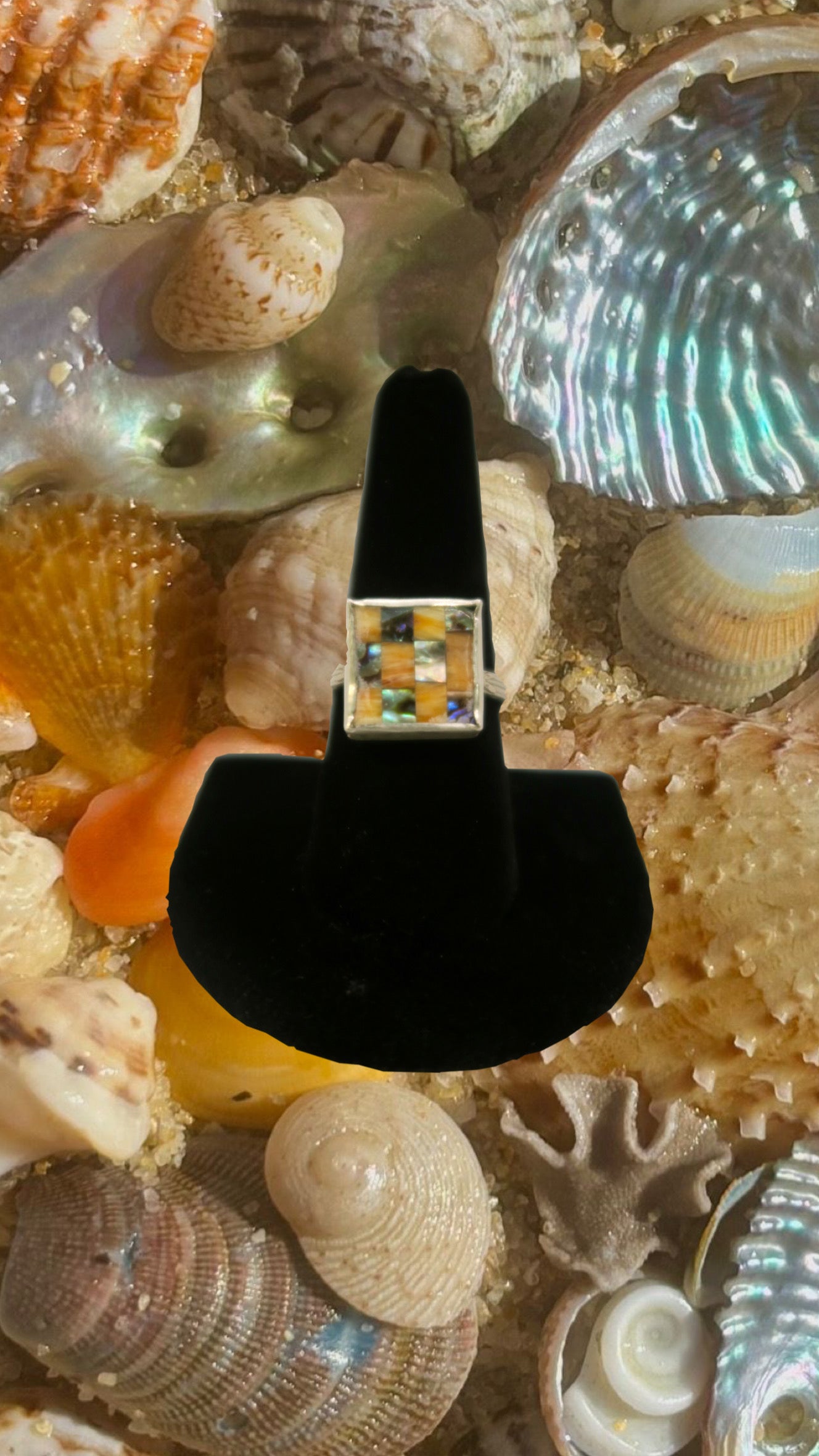 SUNSET ABALONE CHECKERBOARD