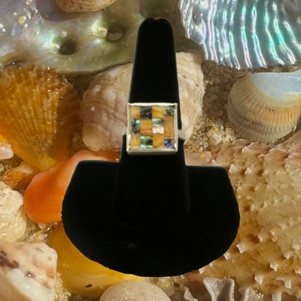 SUNSET ABALONE CHECKERBOARD